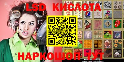 крисы Аргун
