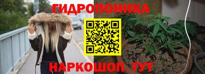 крисы Аргун